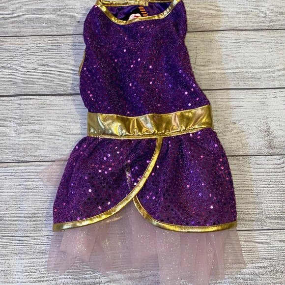 Other - Rapunzel Dog Costume Large 20-29 Lb. NWT